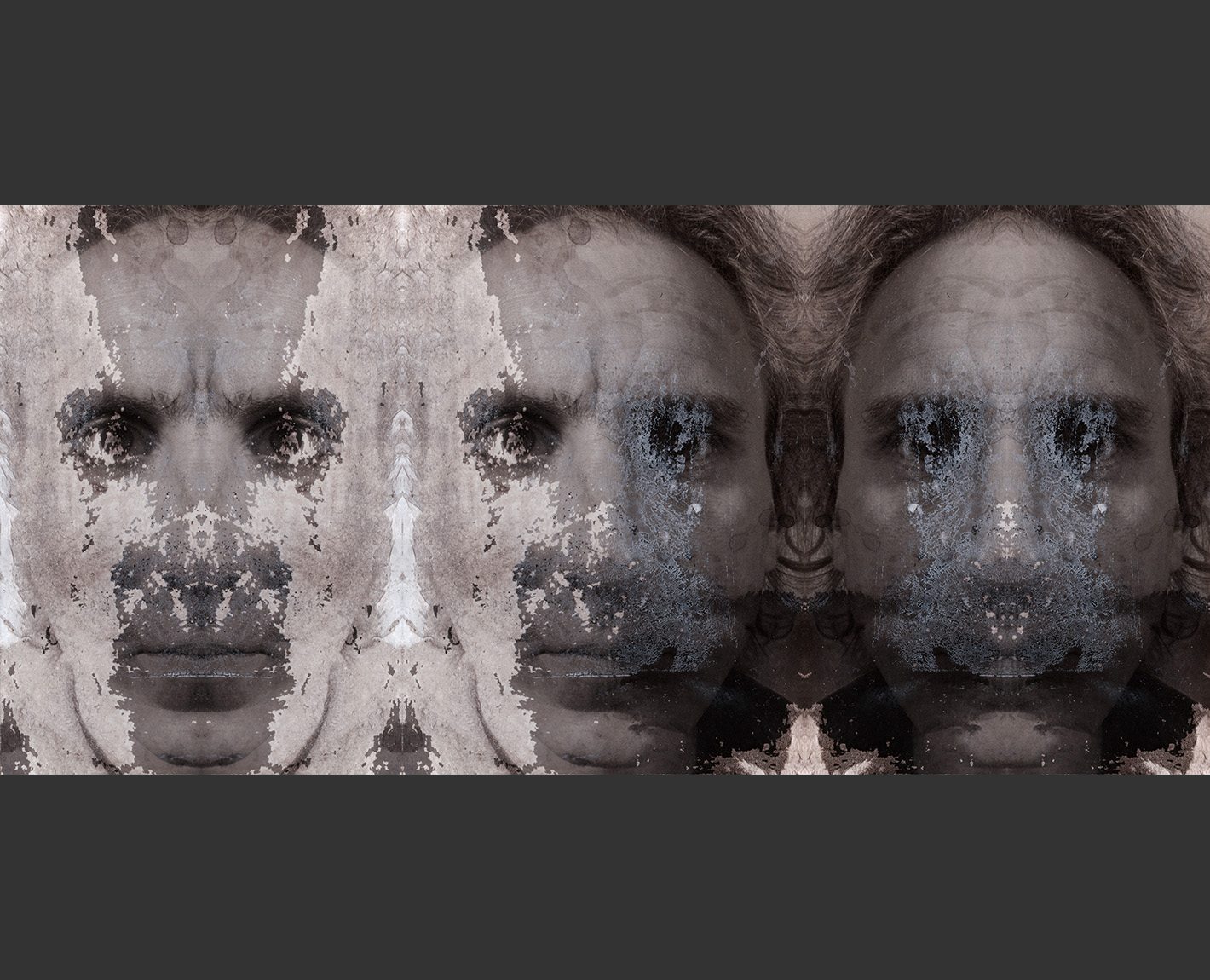 Bicameral Portrait 2008, Paul Lowry