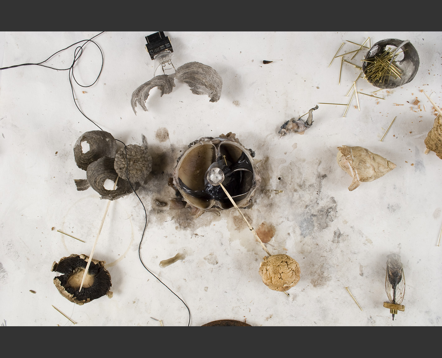 Dioptrics, Paul Lowry