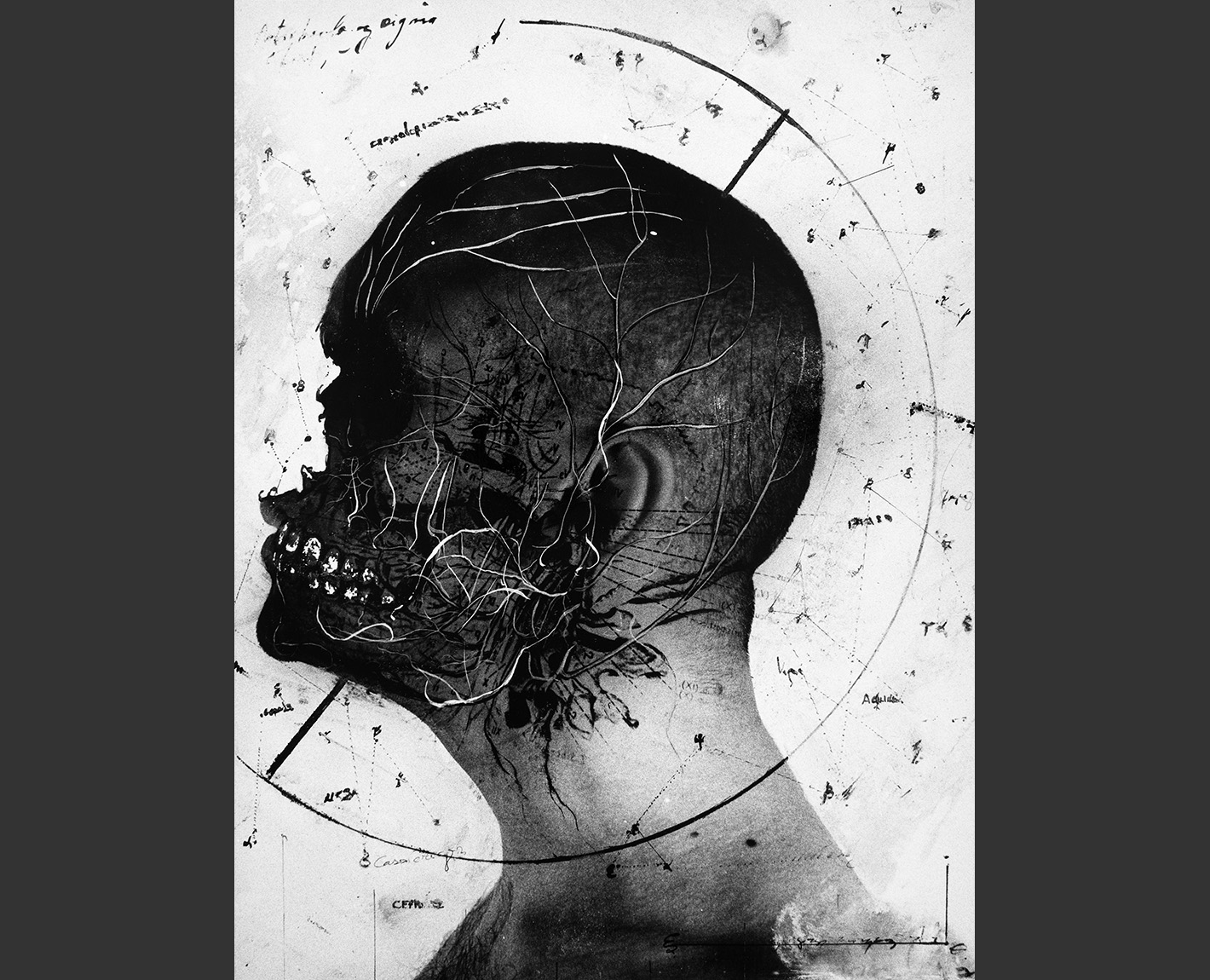 Head Studies, Paul Lowry