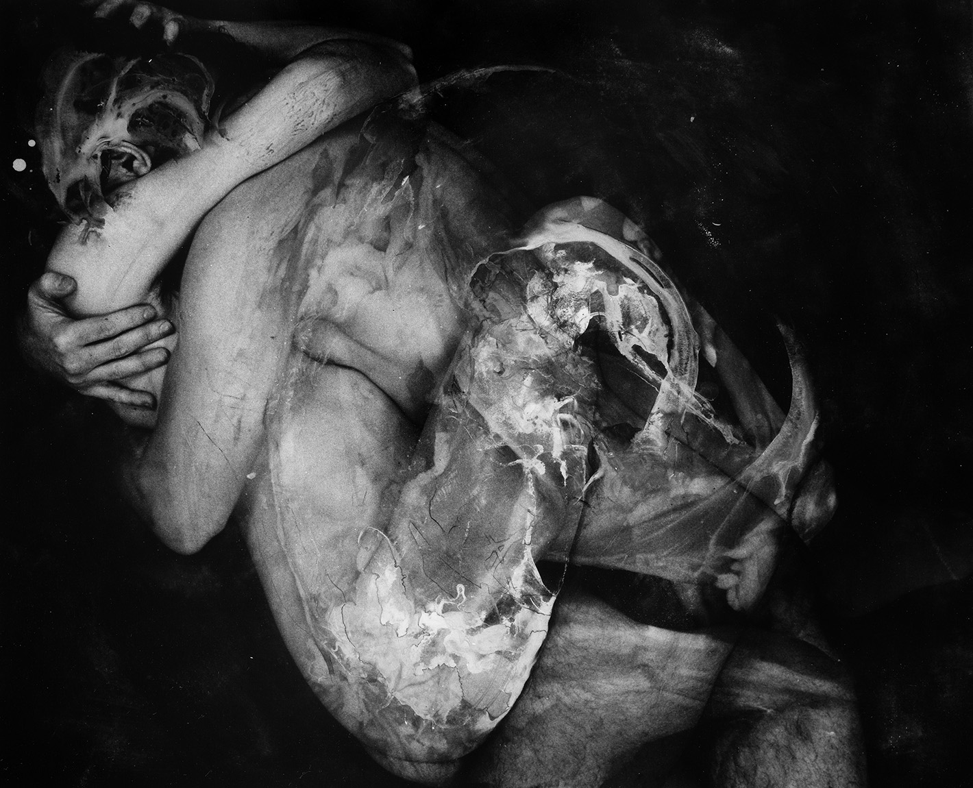 Copulation Studies, Paul Lowry