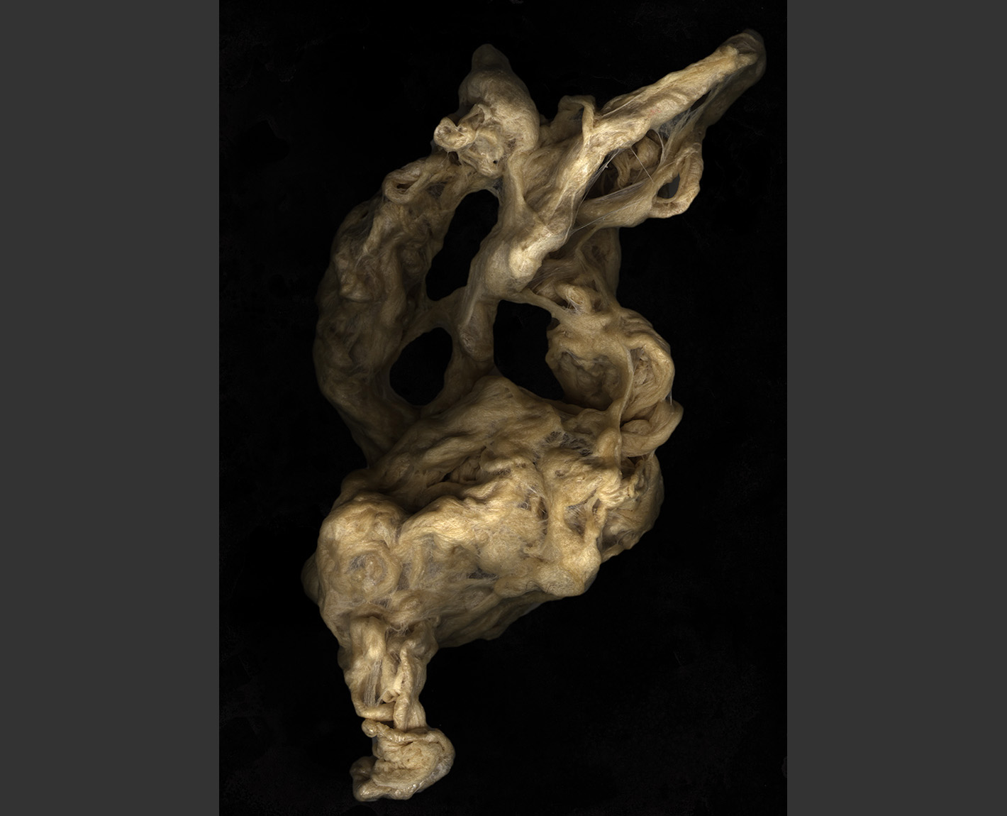 Logos Series from The Biennale, Paul Lowry