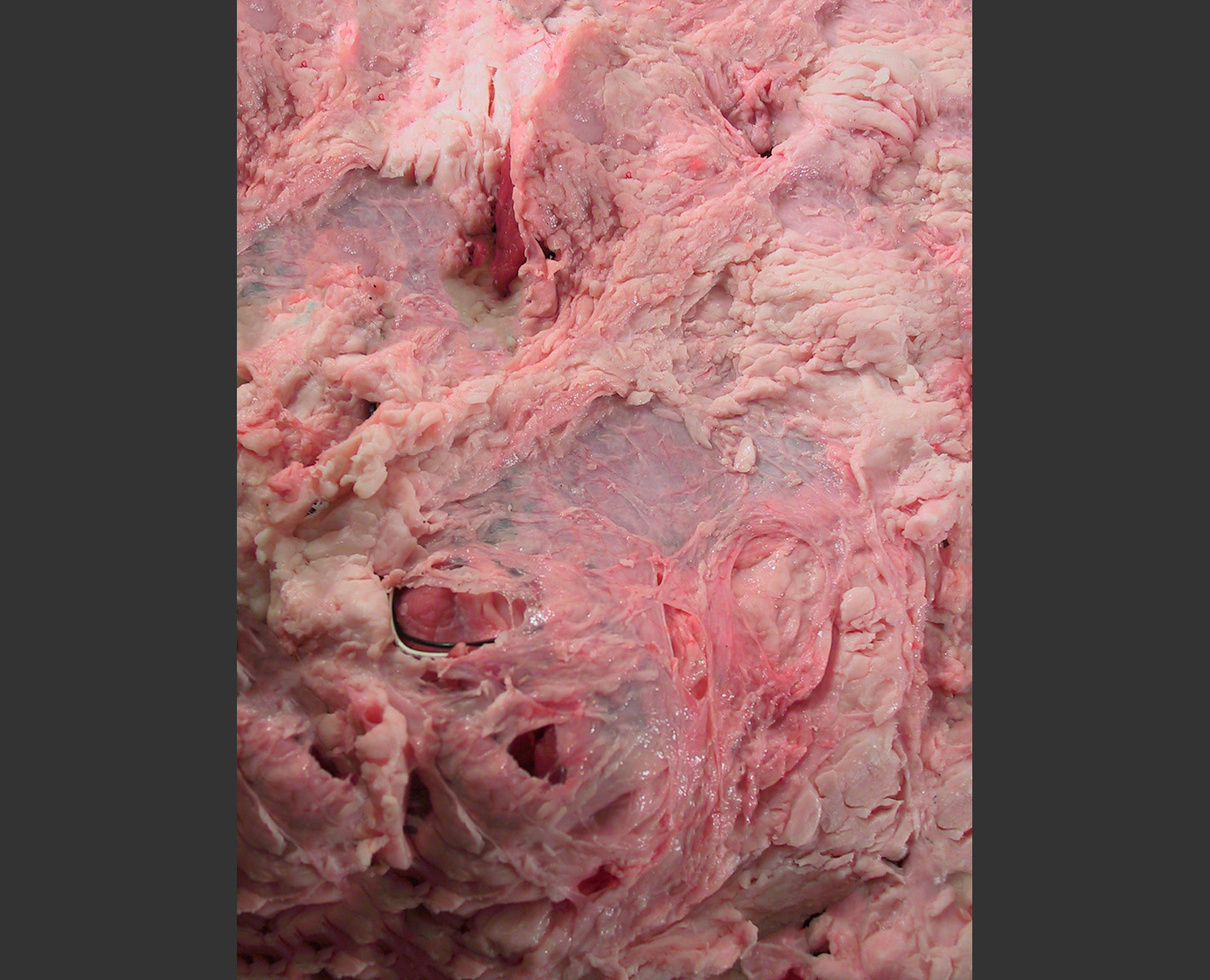 Logos Series from The Biennale, Paul Lowry