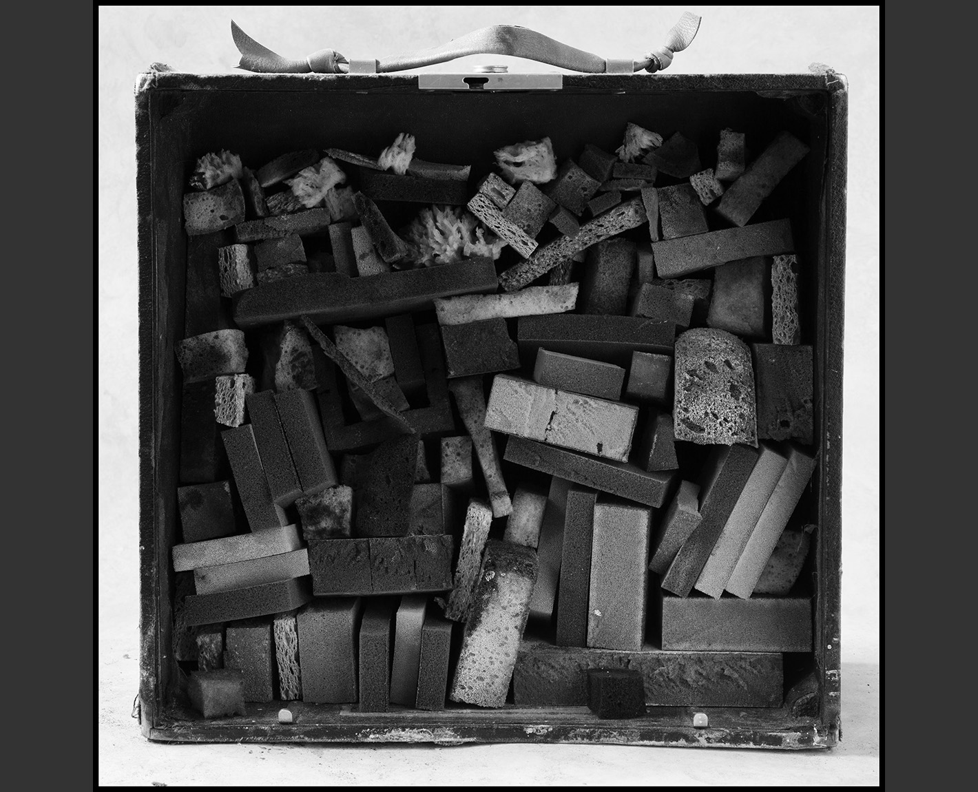 Sponge Boxes from THE Celestial Emporium of Benevolent Knowledge , Paul Lowry