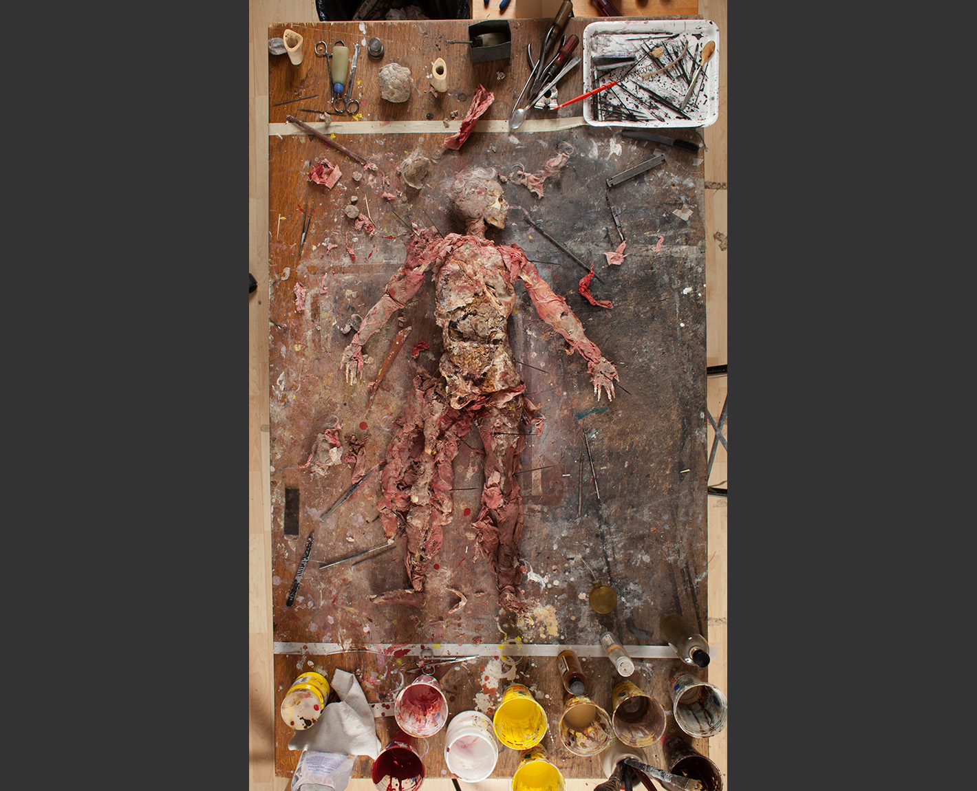 Dissecting the Homunculus from The Biennale, Paul Lowry
