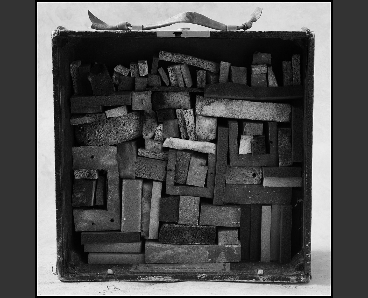 Sponge Boxes from THE Celestial Emporium of Benevolent Knowledge , Paul Lowry