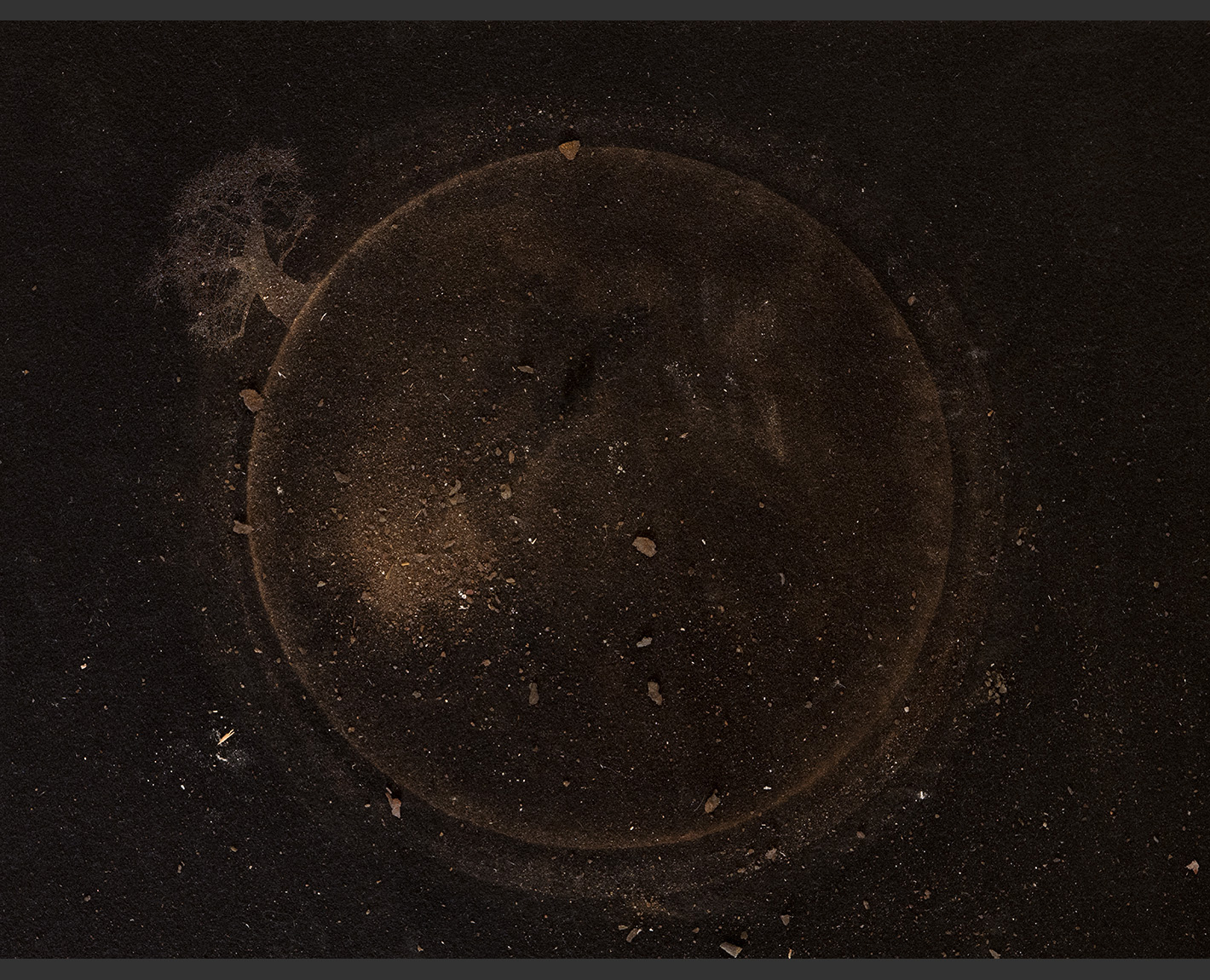 Jack’s Ashes After Mary #3 From the Series Deuil by Spring Hulburt, from The Biennale, Paul Lowry