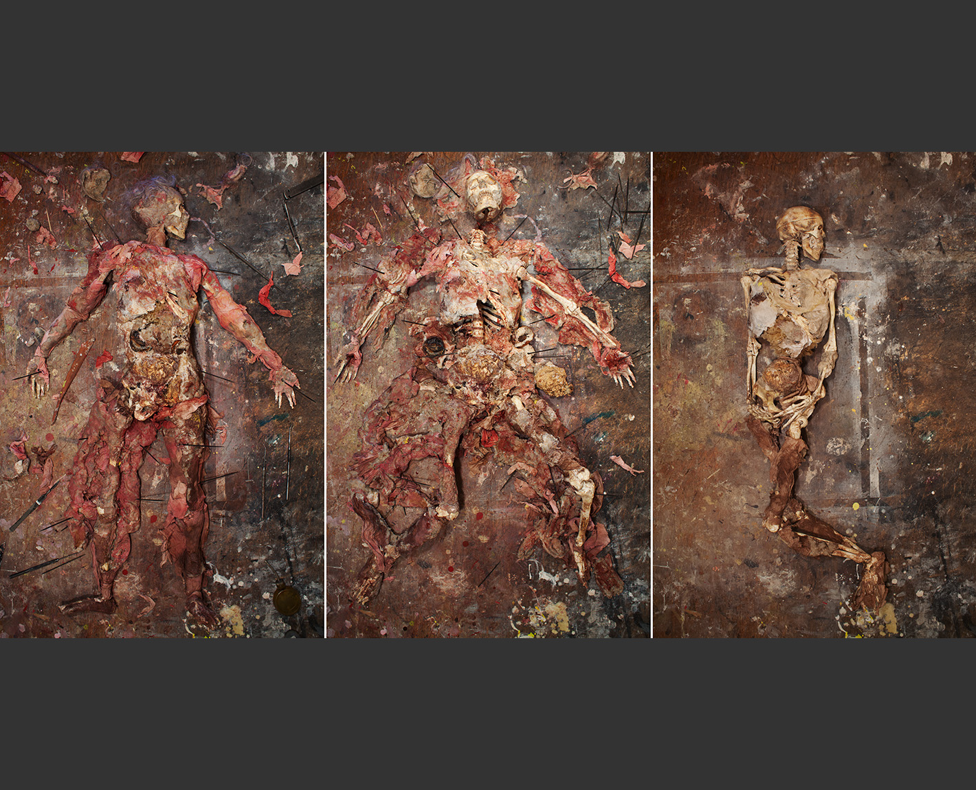 Dissecting the Homunculus from The Biennale, Paul Lowry