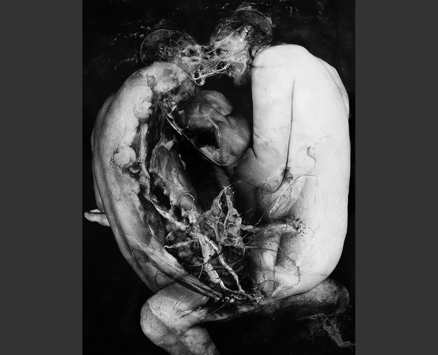 Copulation Studies, Paul Lowry