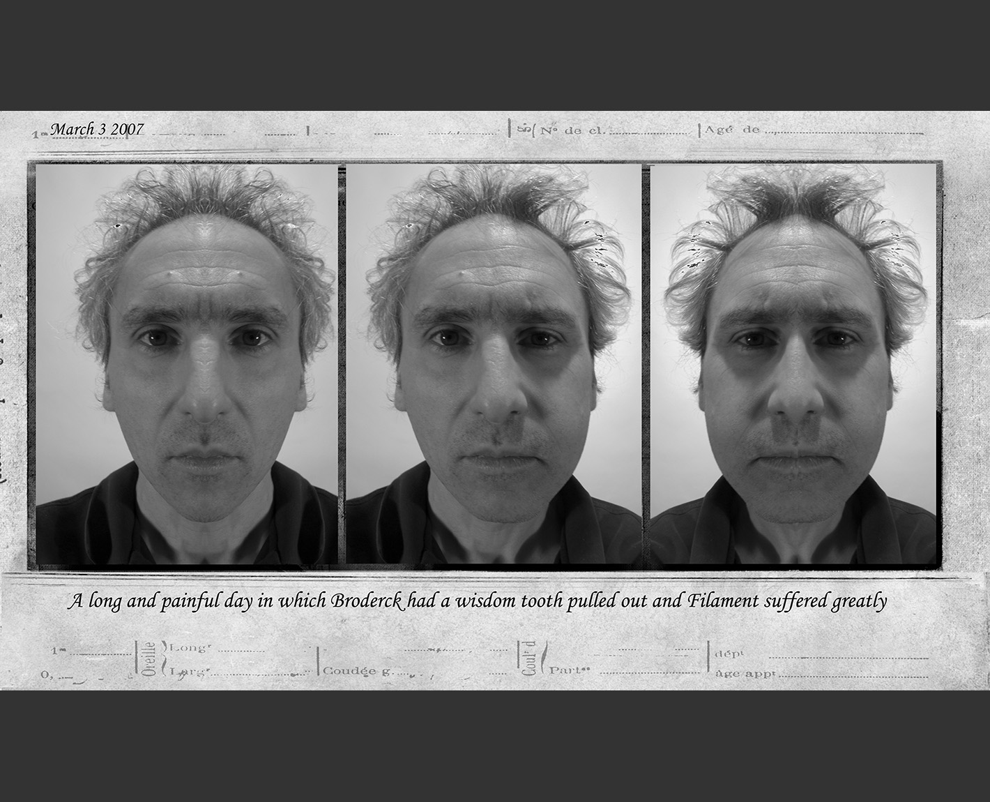 Bicameral Portrait Paul Lowry