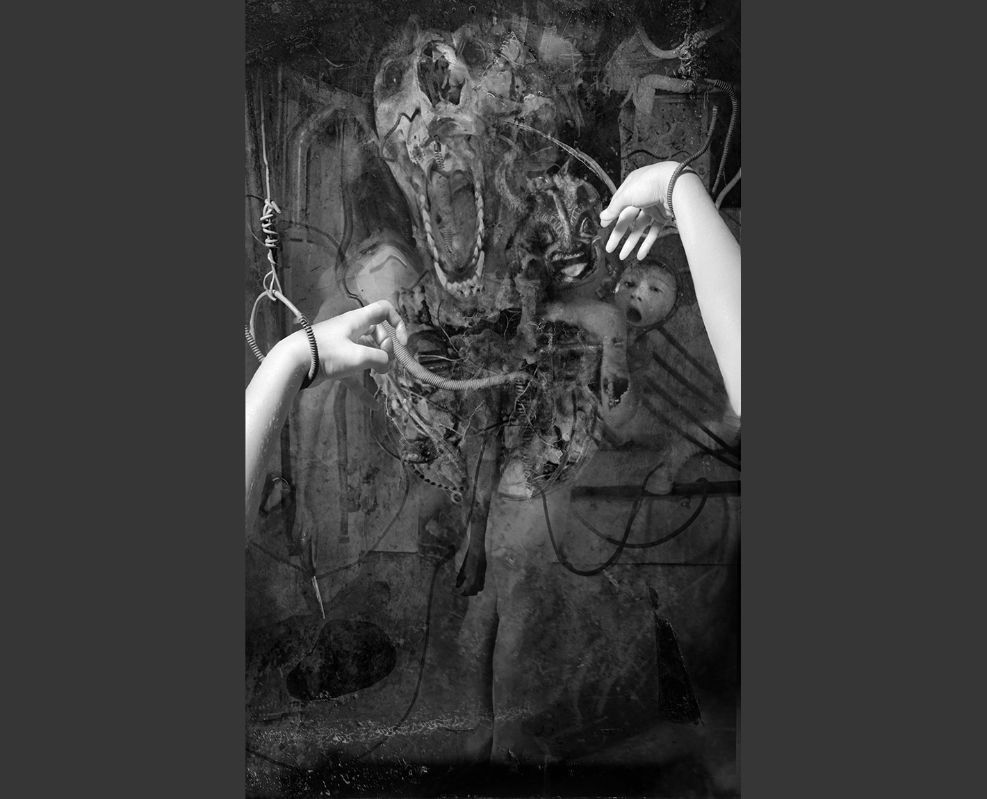 Dioptrics, Paul Lowry